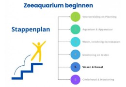 Schritt-für-Schritt-Anleitung zum Starten eines Meerwasseraquariums: Schritt 5